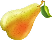 Shivneri Mangoes