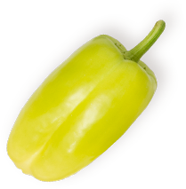 Shivneri Mangoes